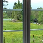 Alone In The Woods With Your Own River Nearby