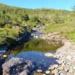 Alone In The Woods With Your Own River Nearby * Fitjar