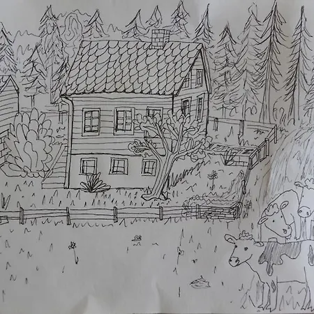 Alone In The Woods With Your Own River Nearby Сasa de vacaciones *