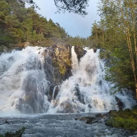 Alone In The Woods With Your Own River Nearby Сasa de vacaciones *