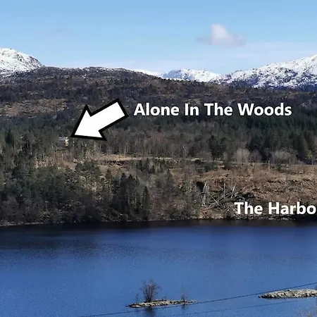 Alone In The Woods With Your Own River Nearby Сasa de vacaciones