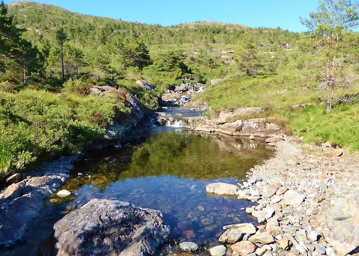 Alone In The Woods With Your Own River Nearby * Fitjar