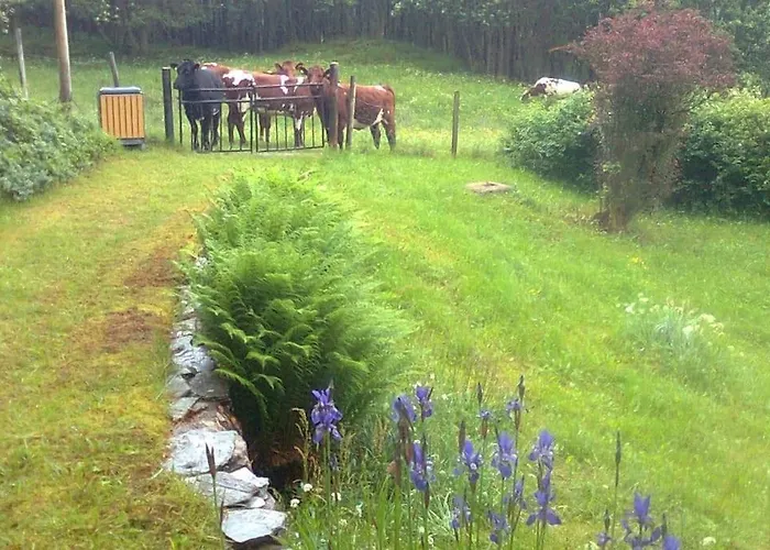 Alone In The Woods With Your Own River Nearby