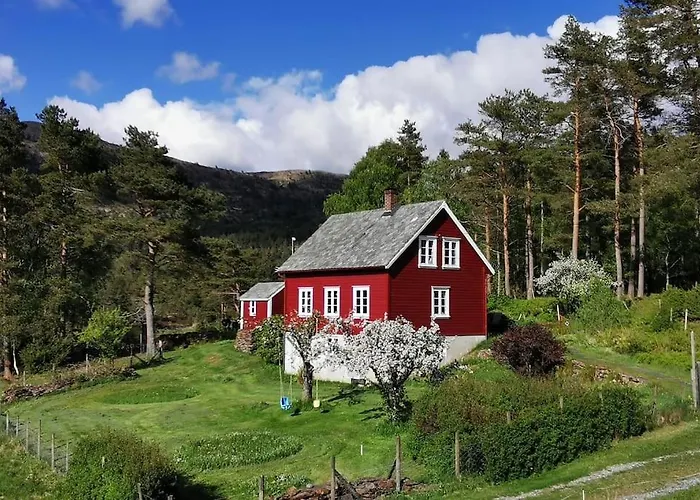 Alone In The Woods With Your Own River Nearby