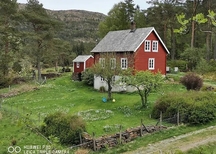 Alone In The Woods With Your Own River Nearby Fitjar