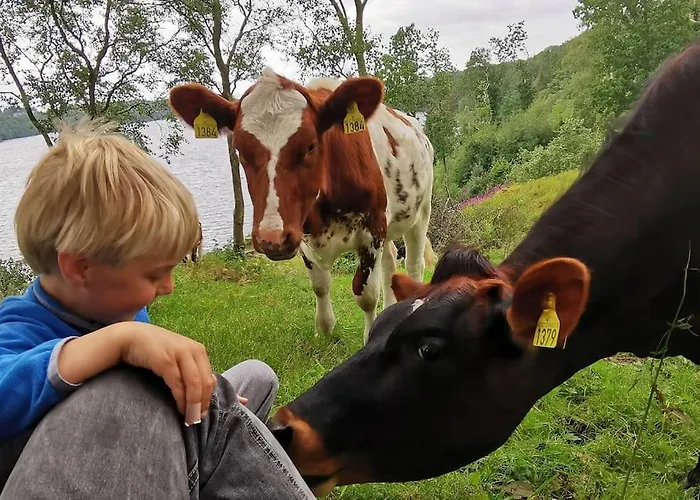 Alone In The Woods With Your Own River Nearby