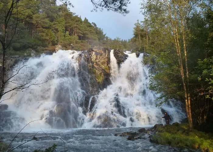 Alone In The Woods With Your Own River Nearby Сasa de vacaciones *